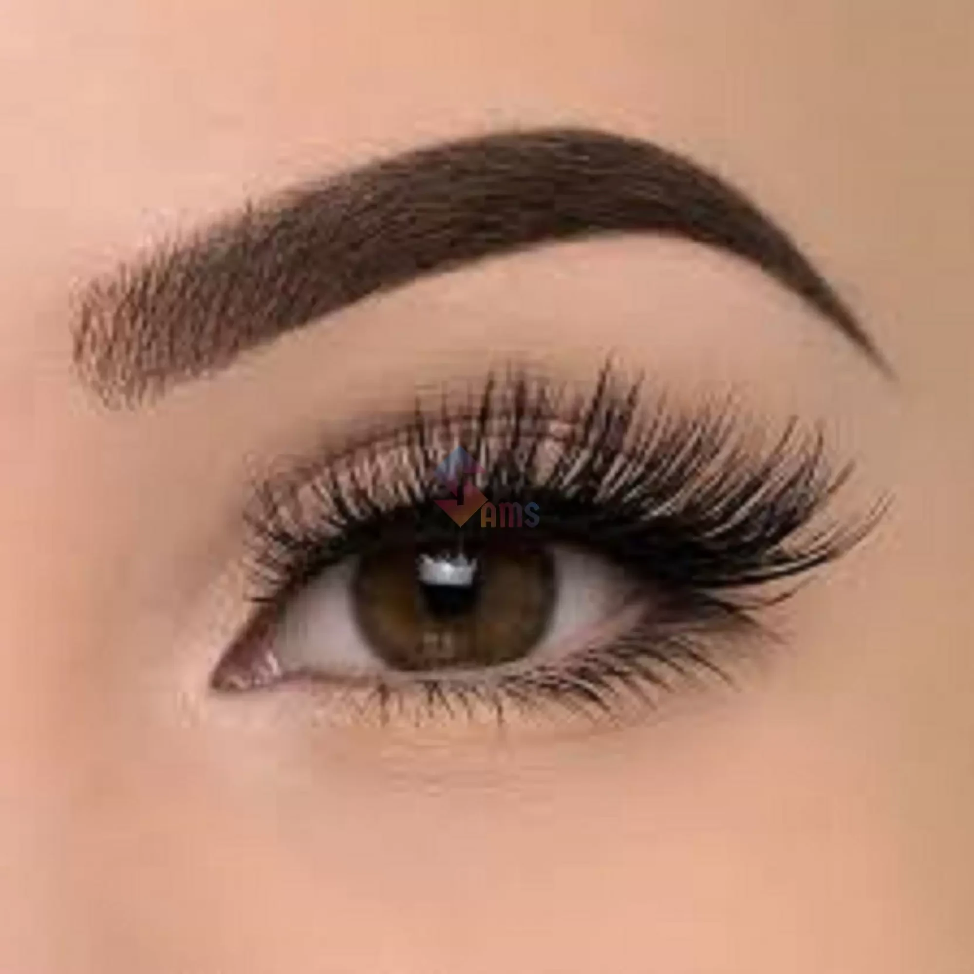 Bonjour Eyelashes 53J 1.webp